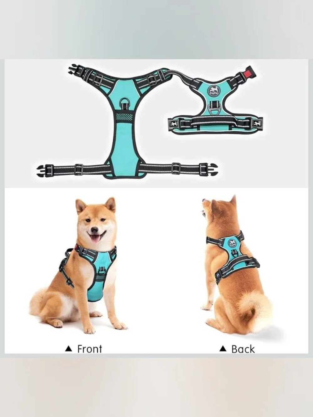 PoyPet No Pull & Choke Free 🐶 Dog Harness Padded Pet Vest Mint Blue Size XS